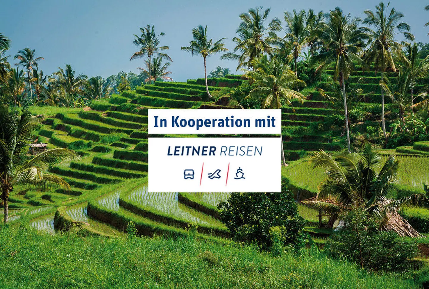 Bali Rundreise & Baden LANDSCAPE