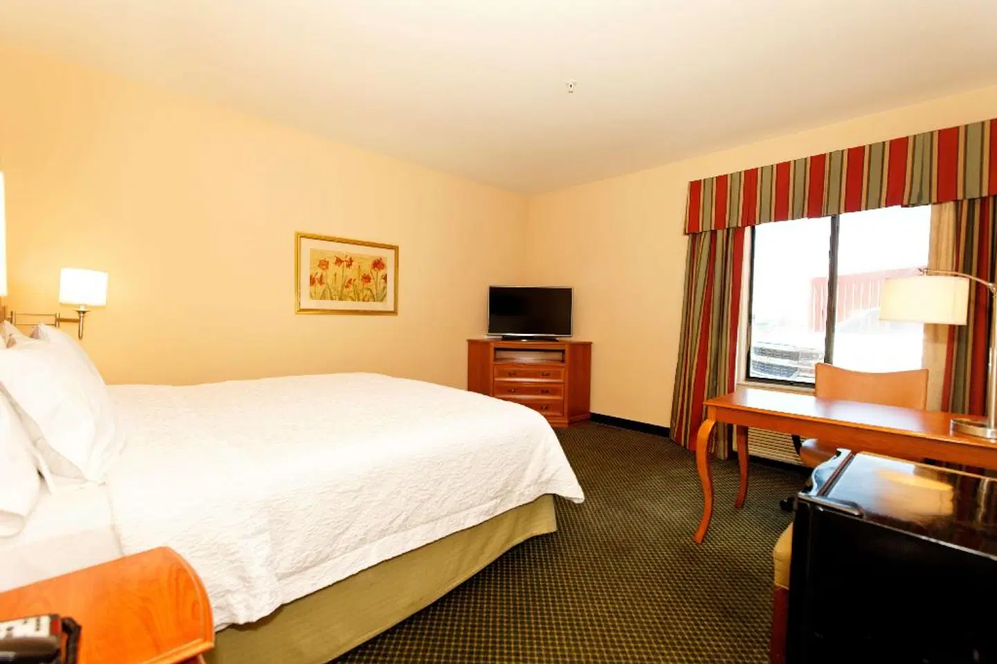 Hampton Inn Montrose ROOM_EXAMPLE