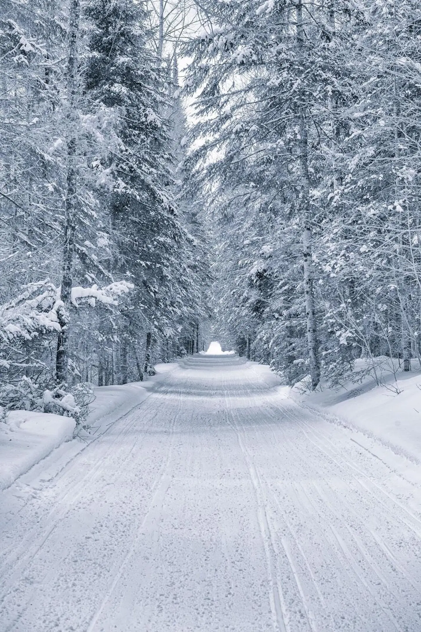 Residence Inn by Marriott Gravenhurst Muskoka Wharf LANDSCAPE