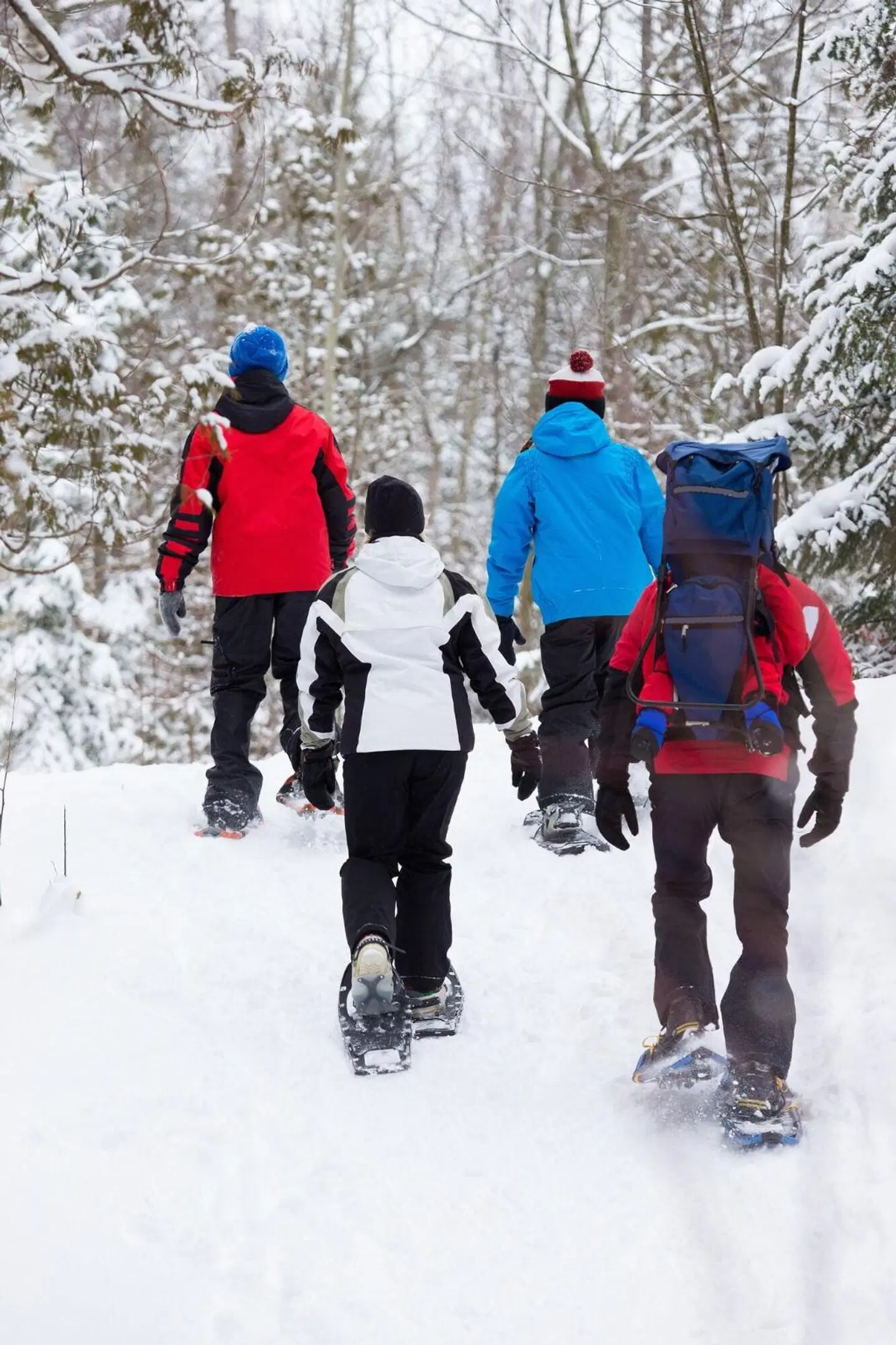 Residence Inn by Marriott Gravenhurst Muskoka Wharf SPORTS_AND_LEISURE