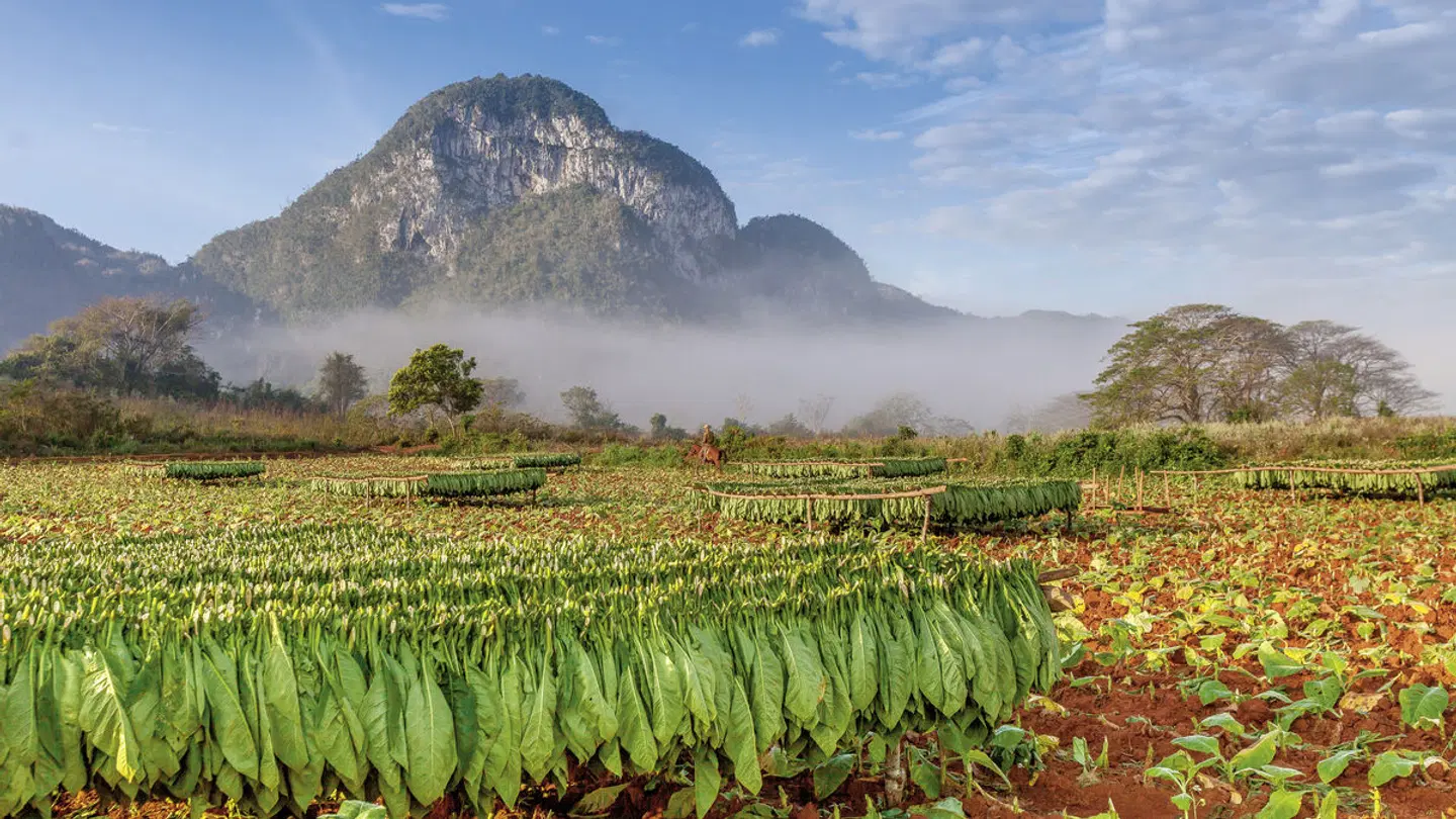 Kuba Havanna & Baden LANDSCAPE