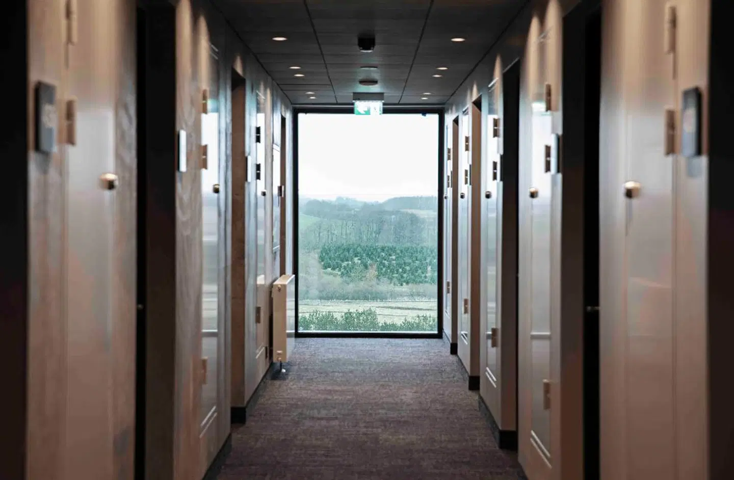 Four Points Flex by Sheraton Horsens ROOM_EXAMPLE