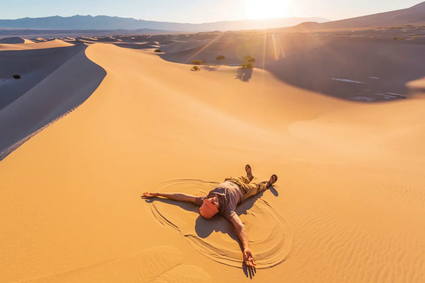 Canyon Explorer (Las Vegas - San Francisco) Tiere