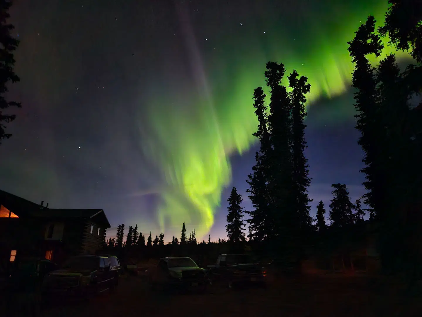 Avens Alaska LANDSCAPE