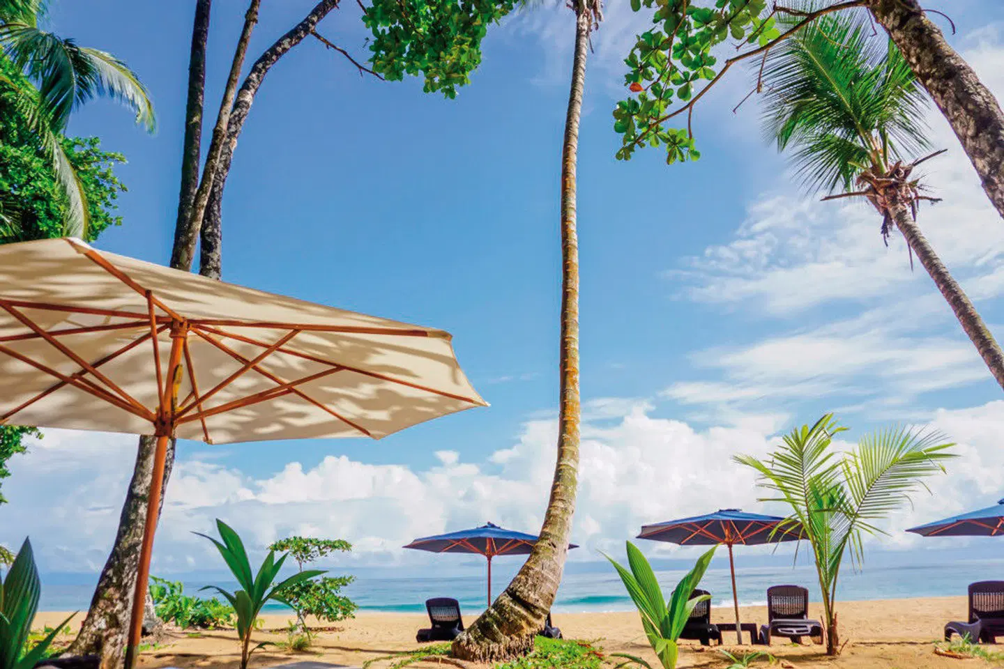 Island Plantation BEACH