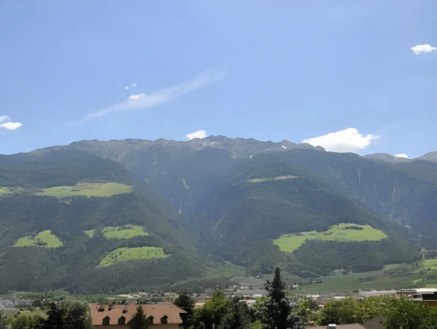 Weingarten LANDSCAPE