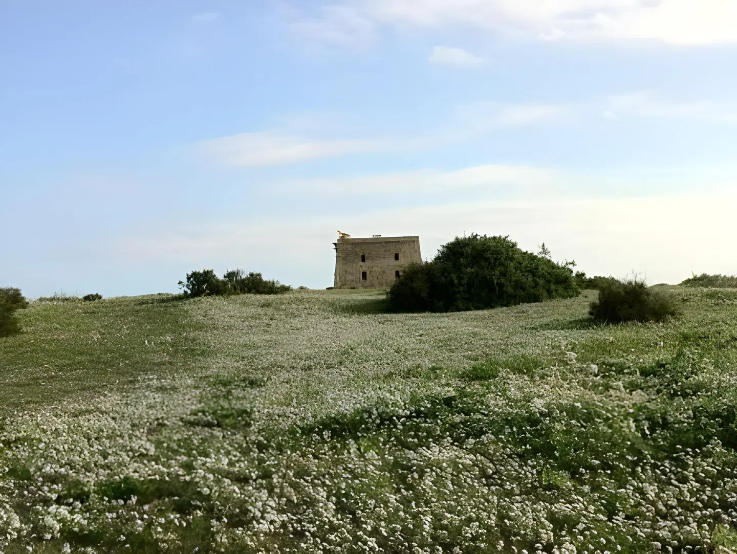 Boutique Isla Tabarca EXTERIOR