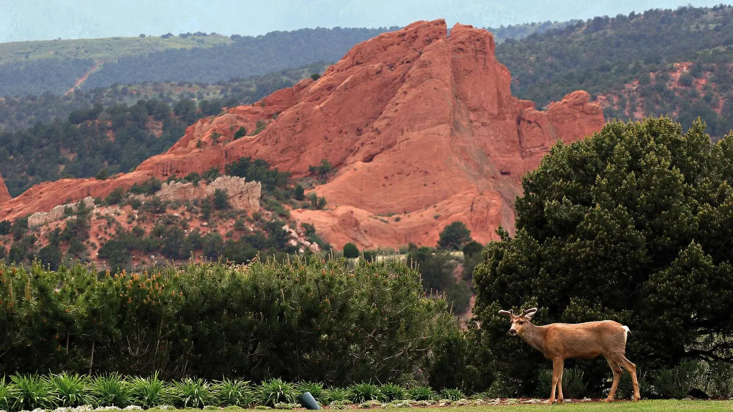 Lodge at Garden of the Gods Club LANDSCAPE
