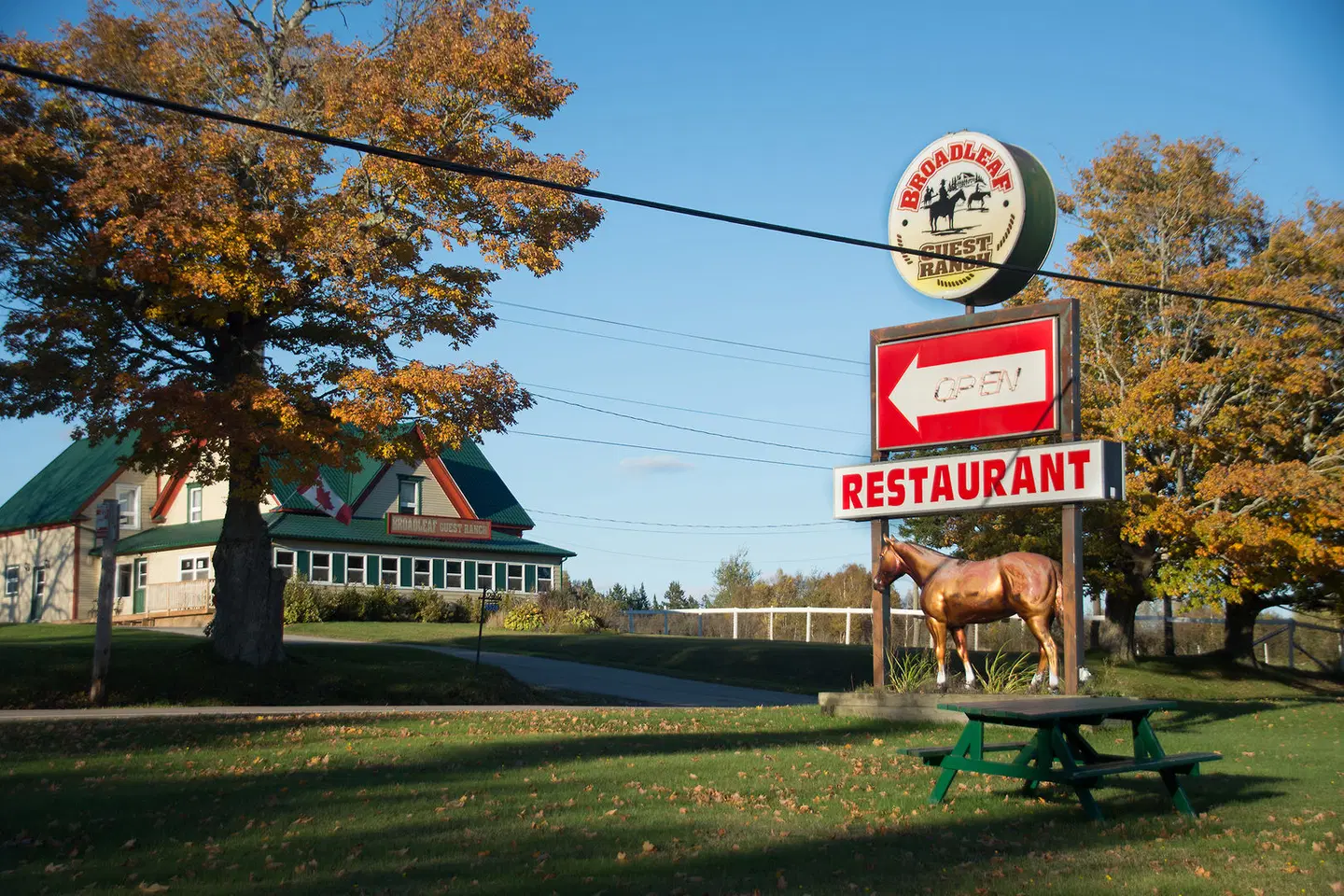 Broadleaf Guest Ranch SPORTS_AND_LEISURE