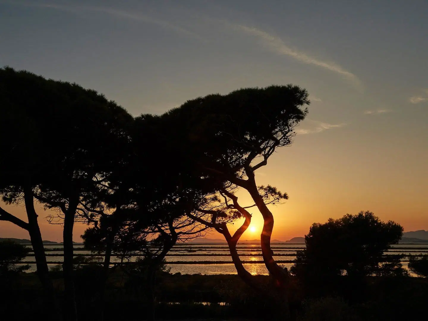 ibis Hyères Centre LANDSCAPE