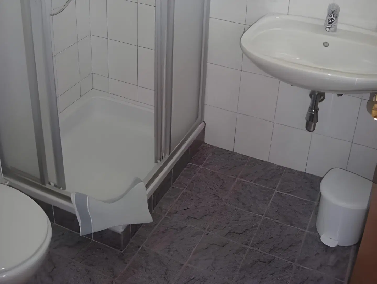 Alpenrose Gasthof BATHROOM