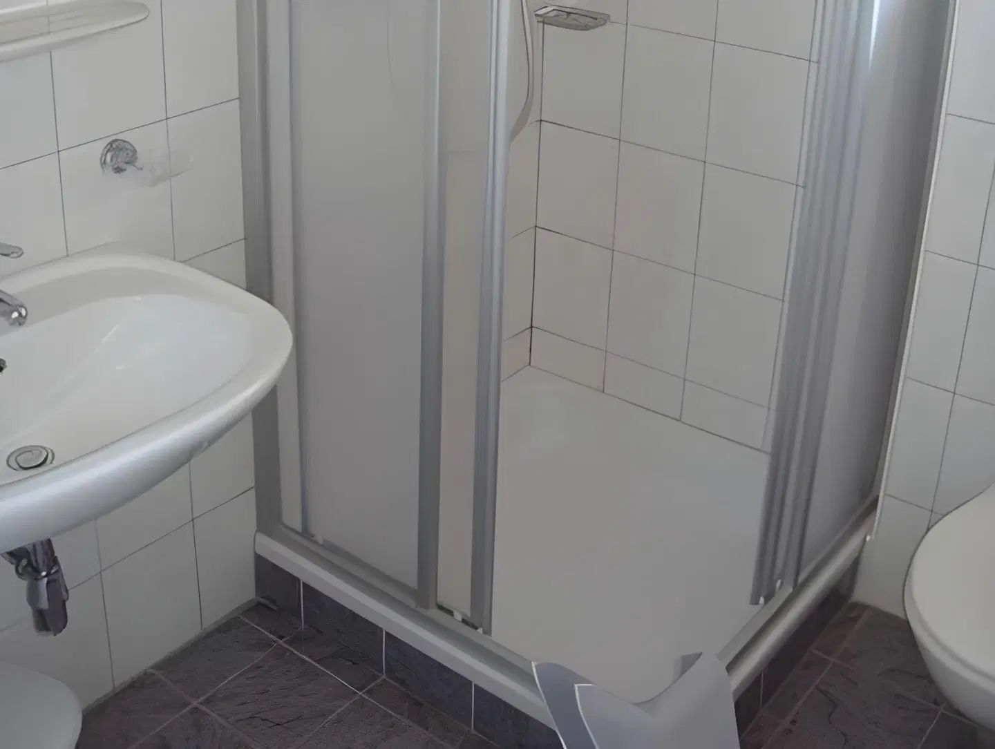 Alpenrose Gasthof BATHROOM