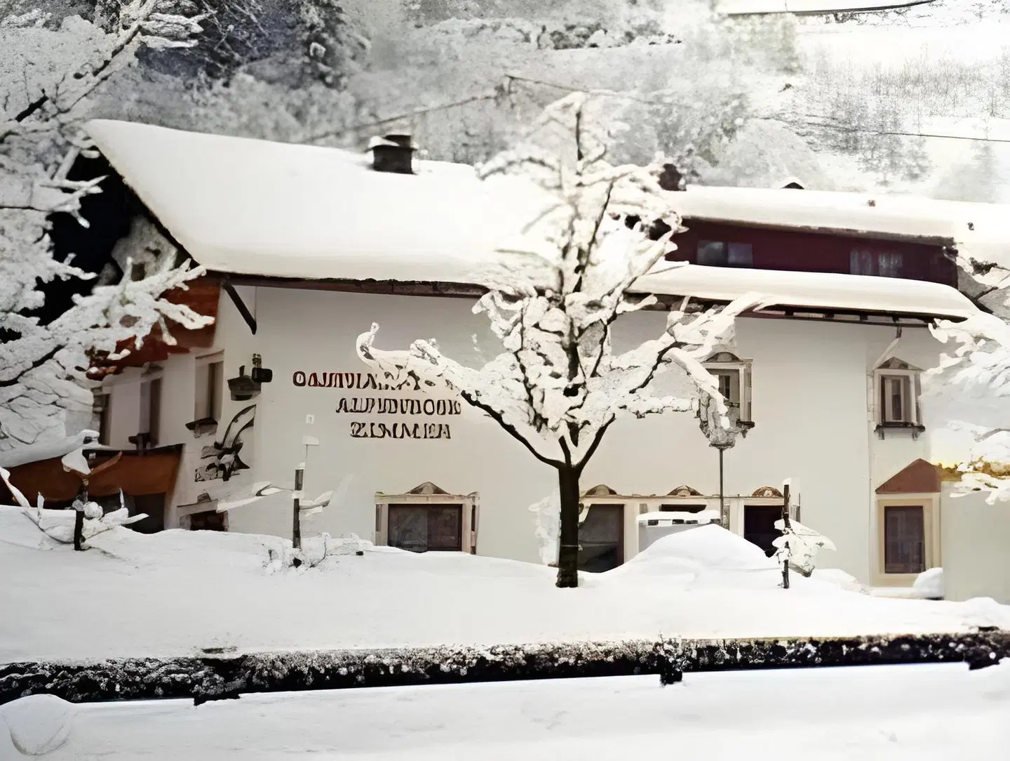 Alpenrose Gasthof MODEL_IMPRESSION