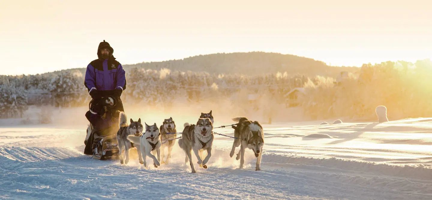 Wildnis unter dem Polarlicht - Muotka Tiere