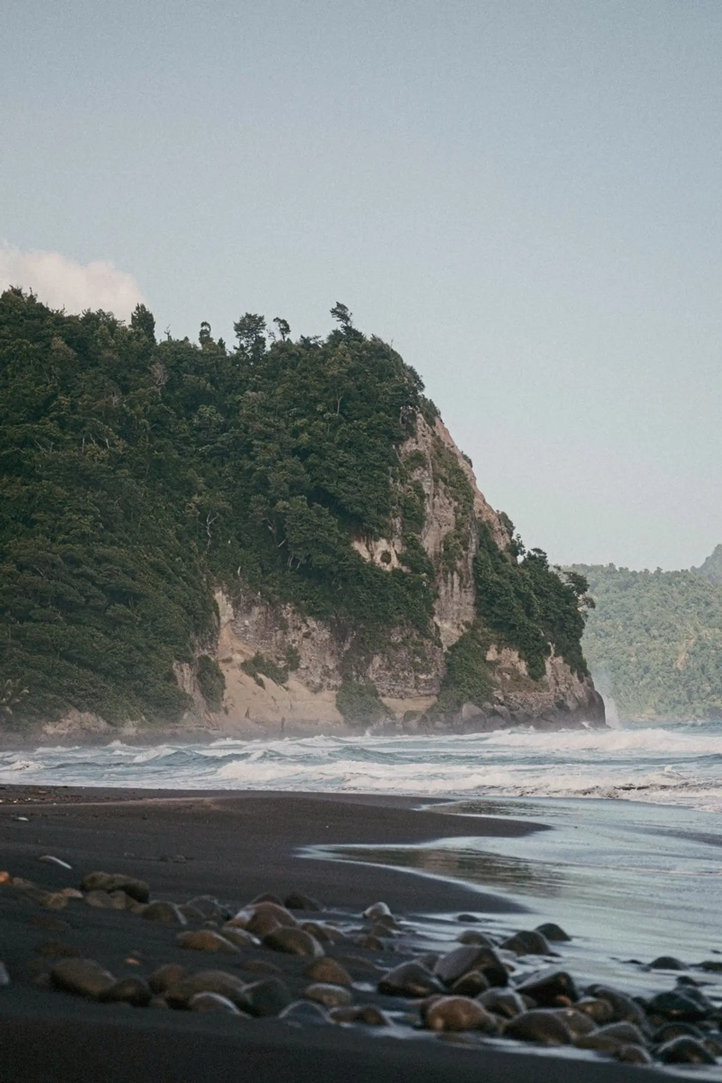 Citrus Creek Plantation LANDSCAPE