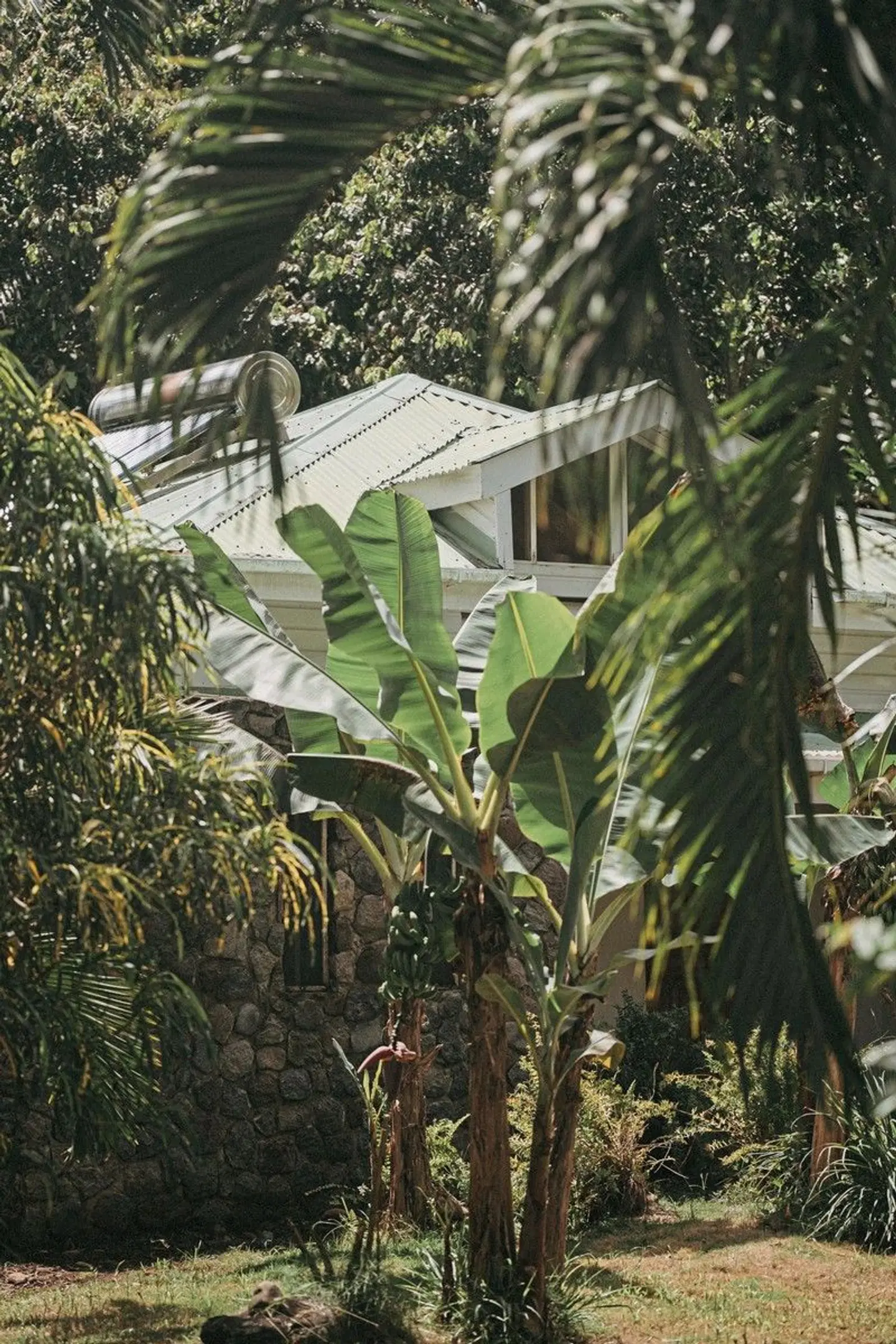 Citrus Creek Plantation EXTERIOR