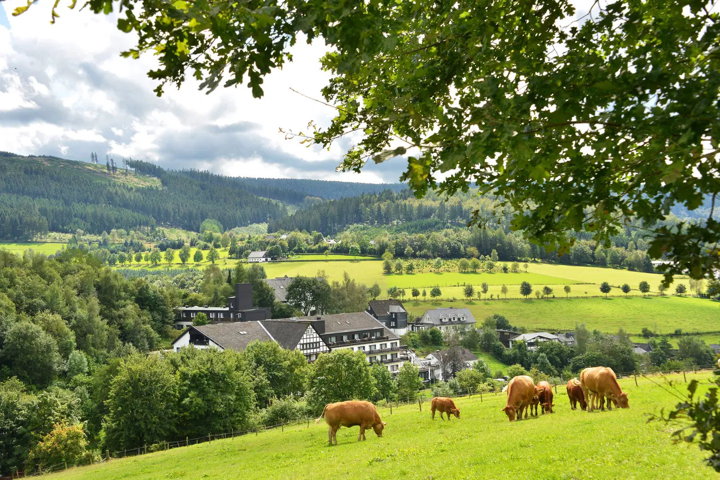 Sauerland Alpin Hotel Tiere