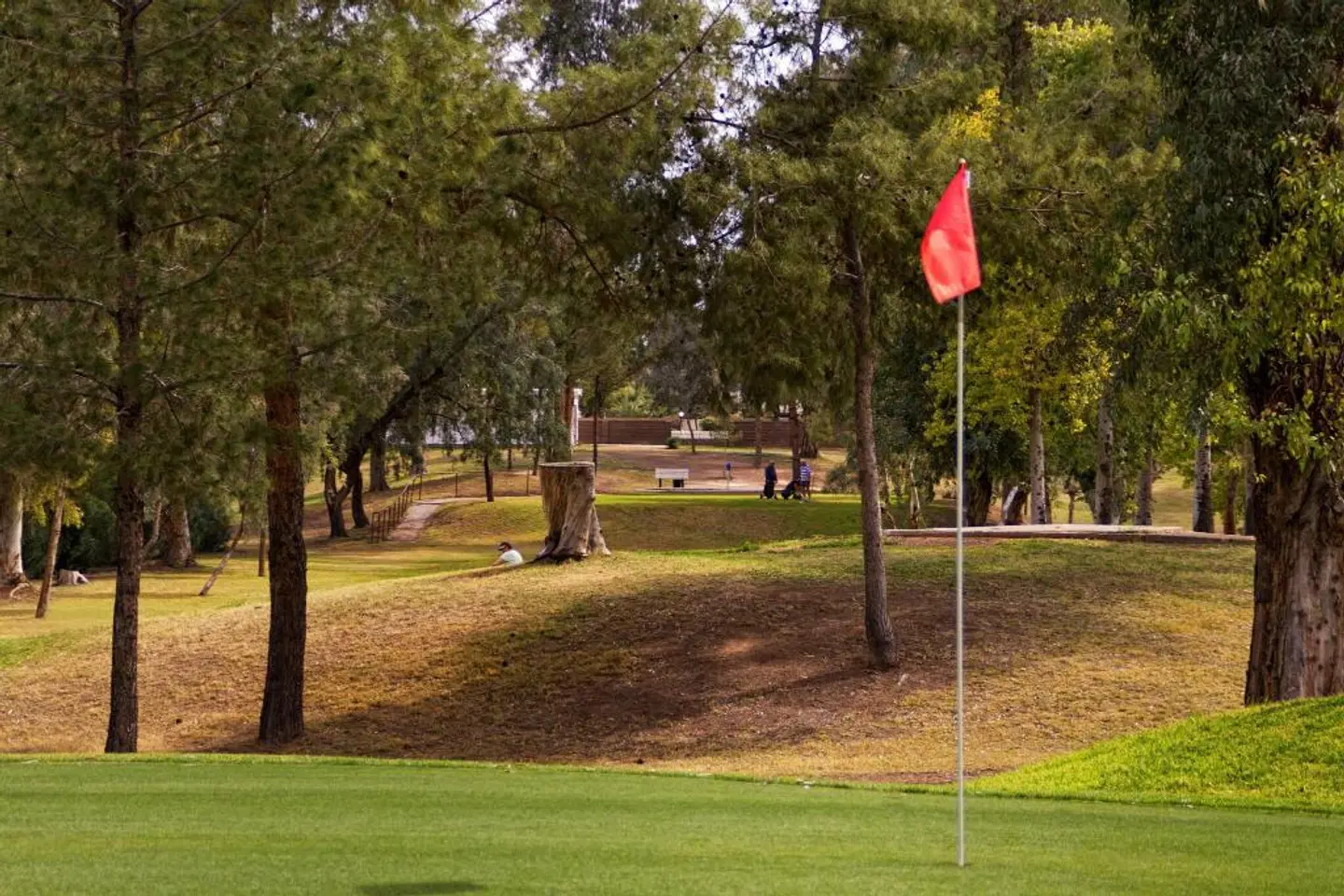 Residence Inn by Marriott Phoenix Mesa SPORTS_AND_LEISURE
