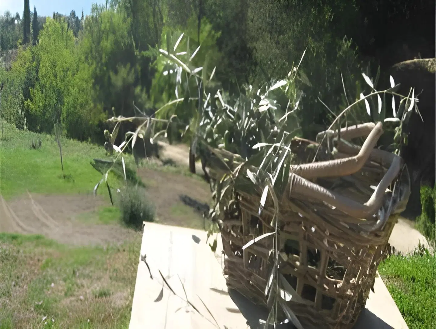 Premignaga Country House & Resort Garten