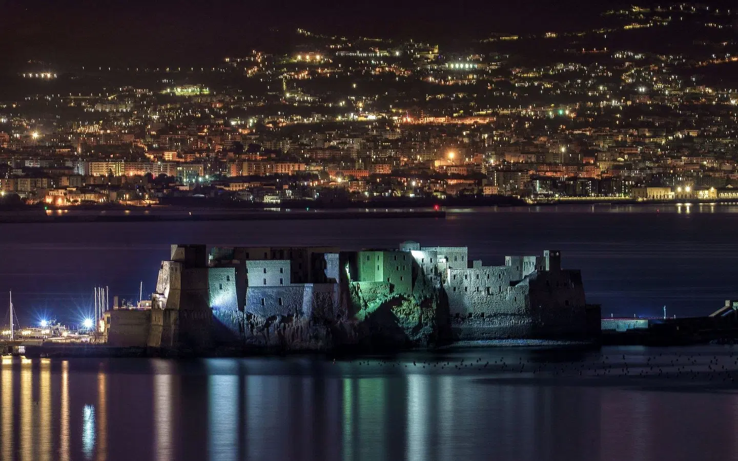 Holiday Inn Naples LANDSCAPE
