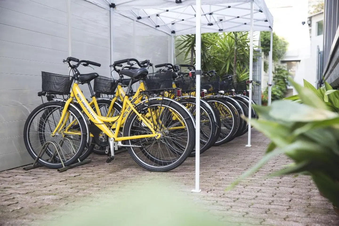 Cambridge SPORTS_AND_LEISURE