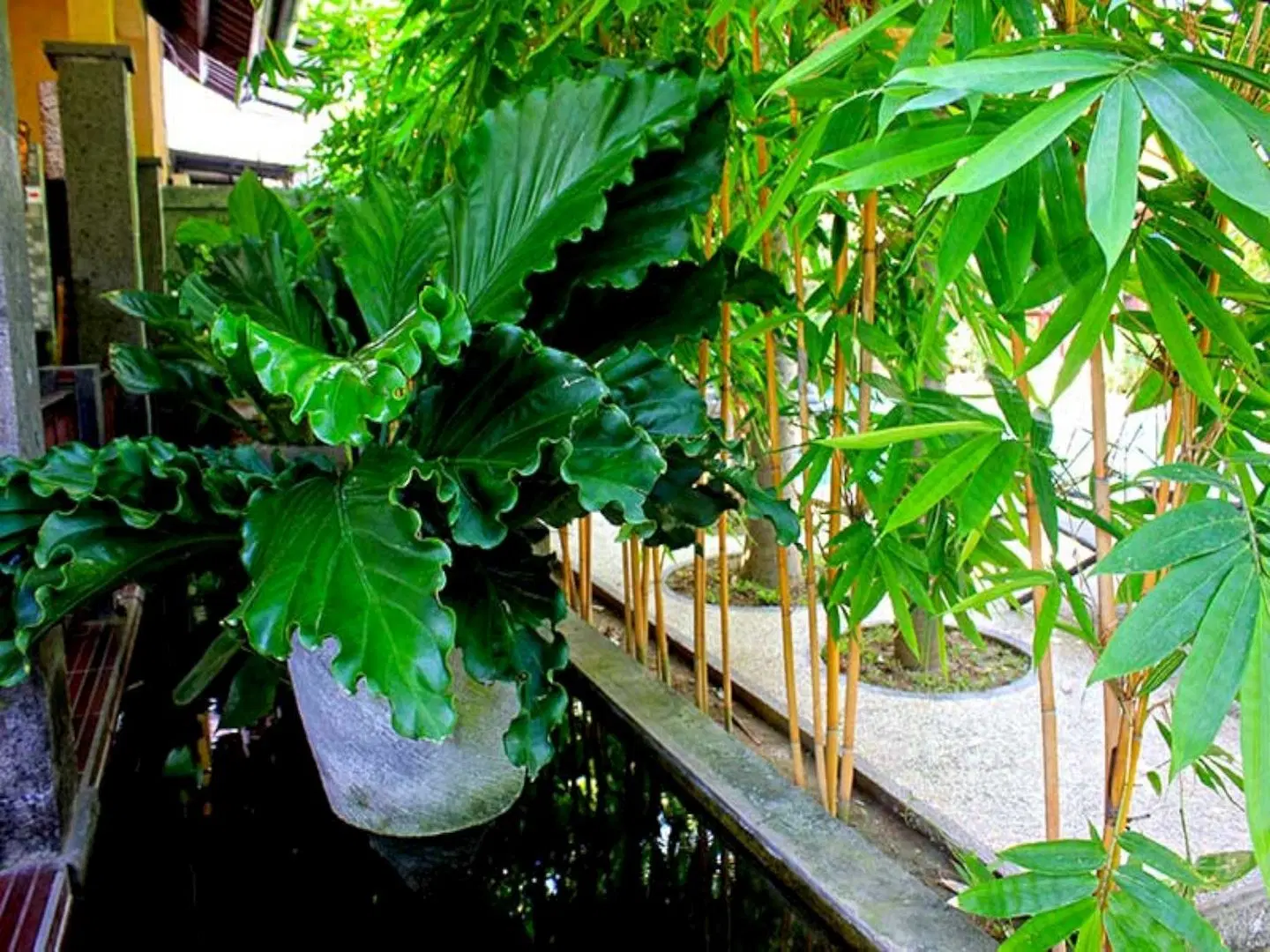 Alami Resort and Restaurant Terrasse