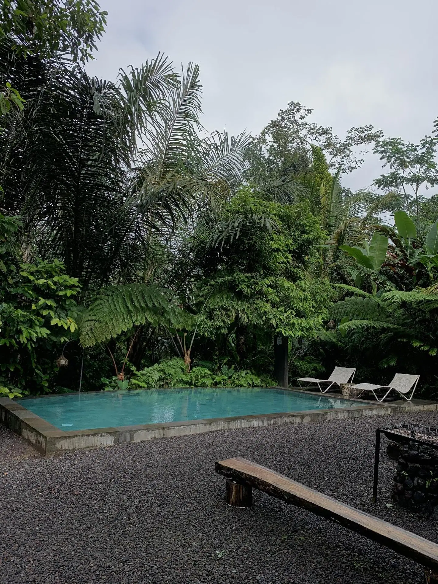 Daydream Lodge OUTDOOR_POOL