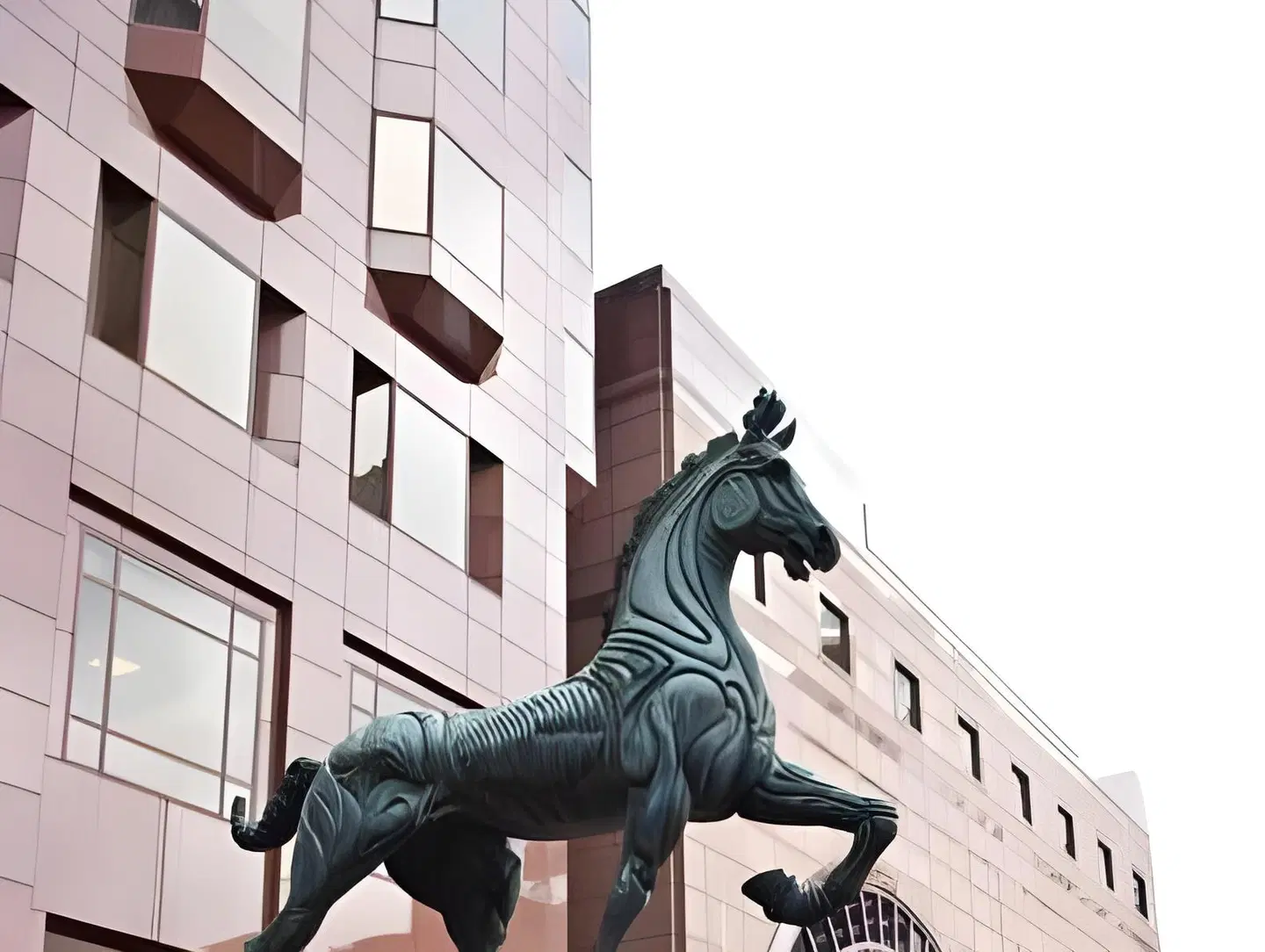 The Buckingham Hotel Tiere