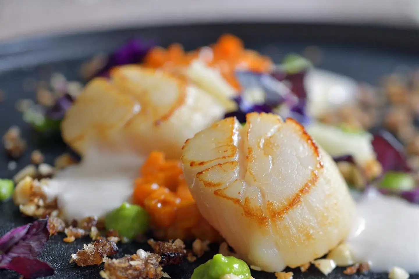 Mövenpick Hotel The Hague Tiere