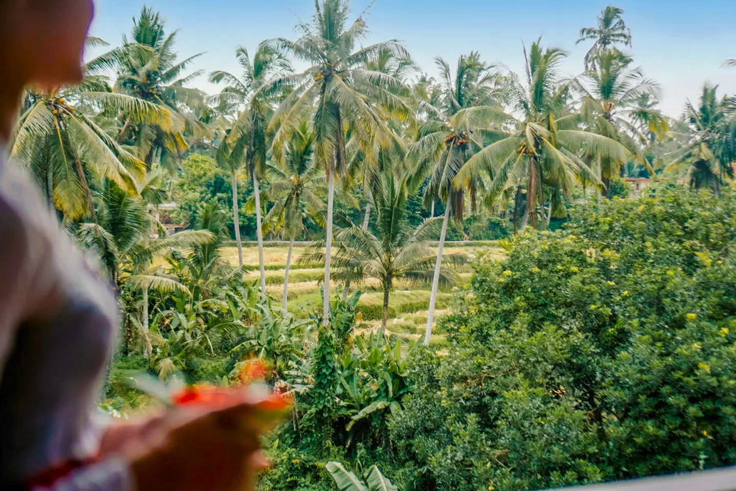 Sakti Garden Resort & Spa Garten