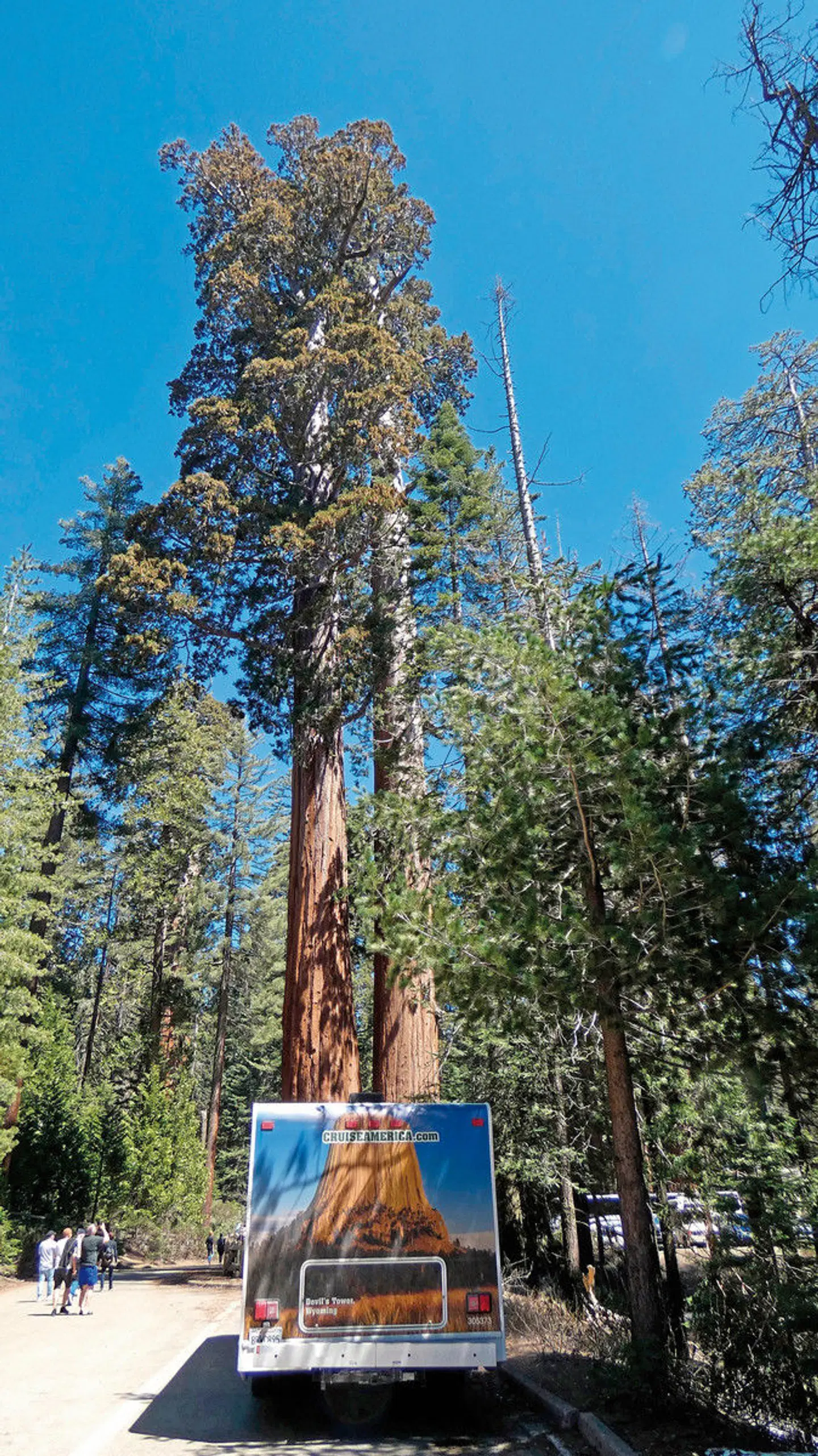 Taste of California LANDSCAPE
