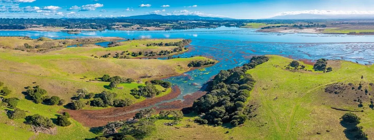 Taste of California LANDSCAPE