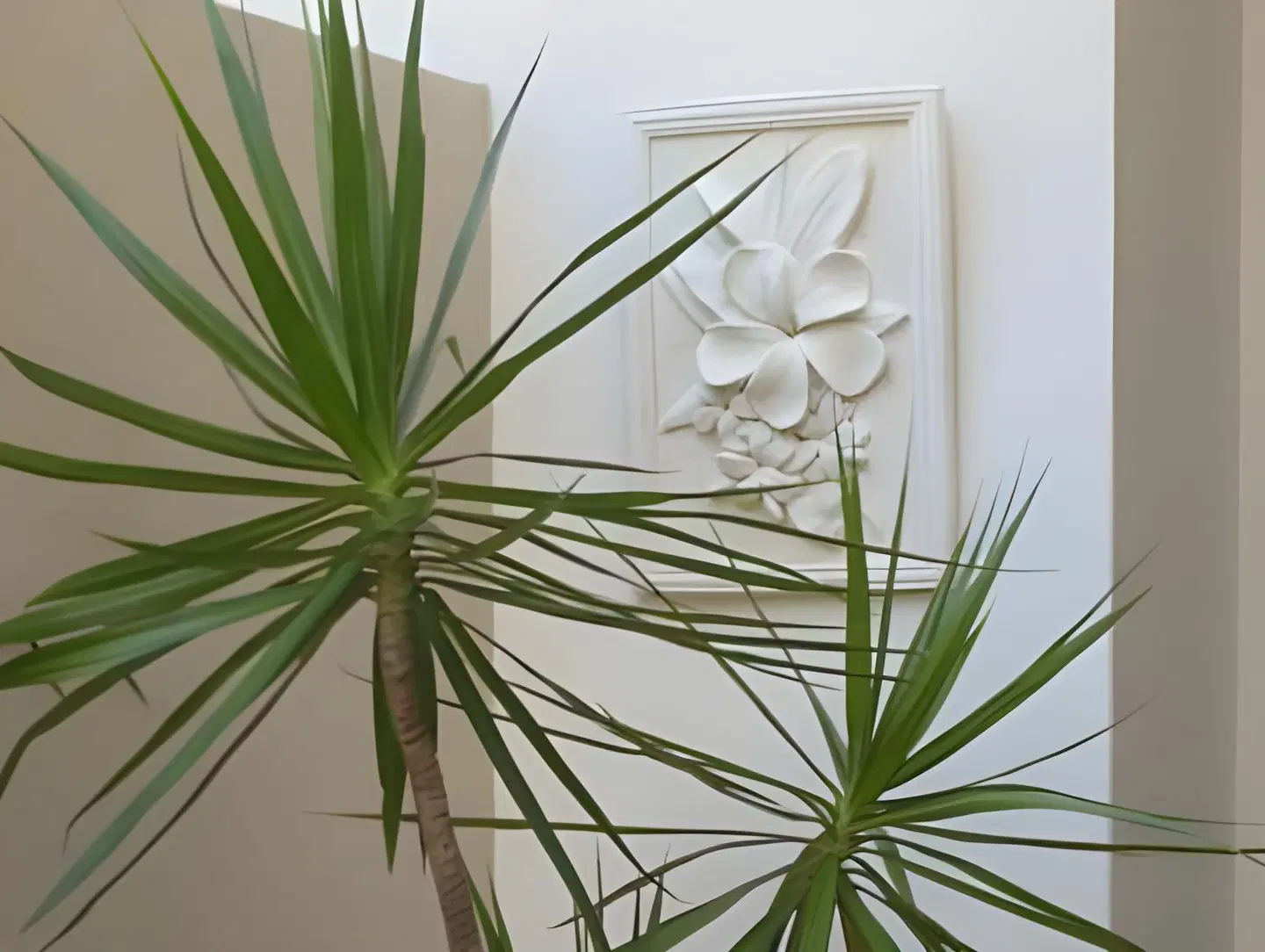 Beachport Bed & Breakfast LOUNGE_LOBBY