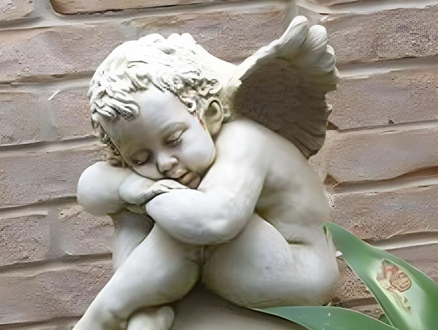 Beachport Bed & Breakfast ANIMAL