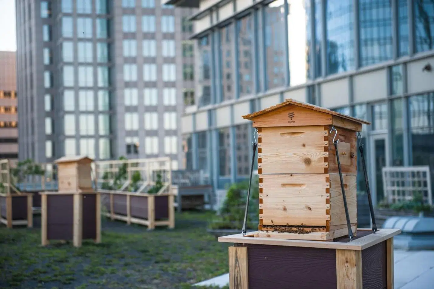 The Ritz-Carlton, Charlotte EXTERIOR