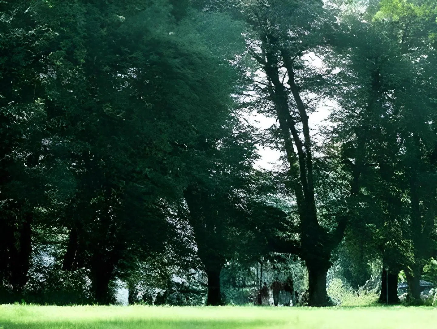 Europahaus Wien LANDSCAPE