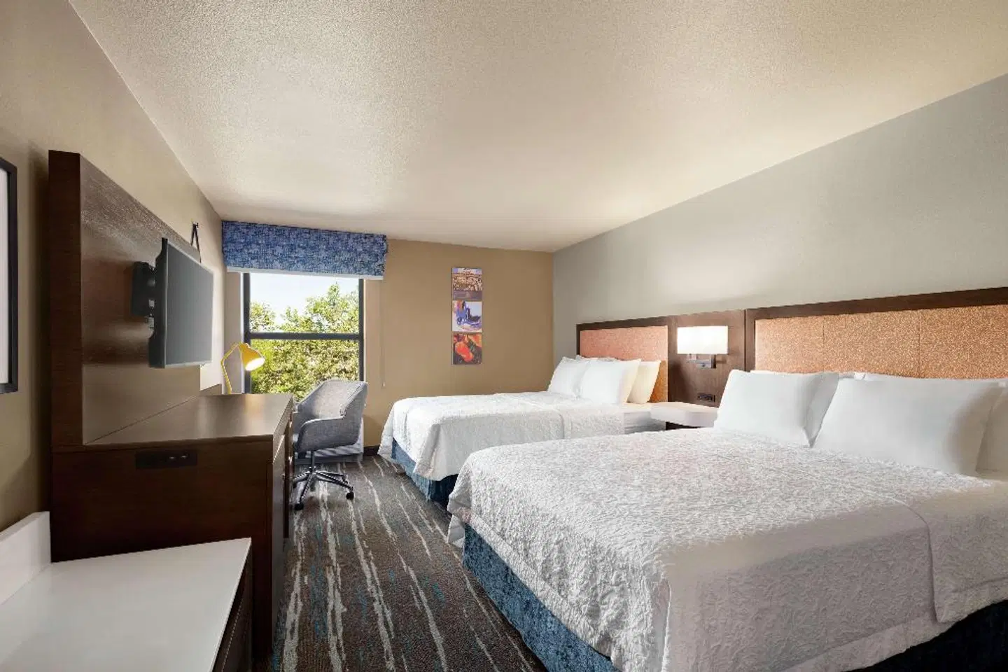 Hampton Inn Sacramento/Rancho Cordova ROOM_EXAMPLE