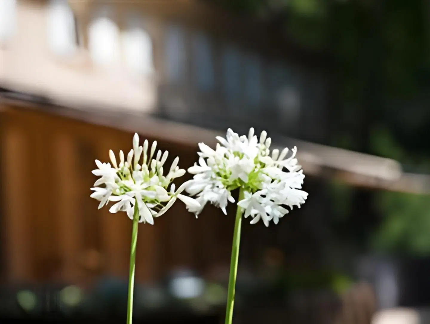 Moulin de Vernègues Hôtel & SPA LANDSCAPE