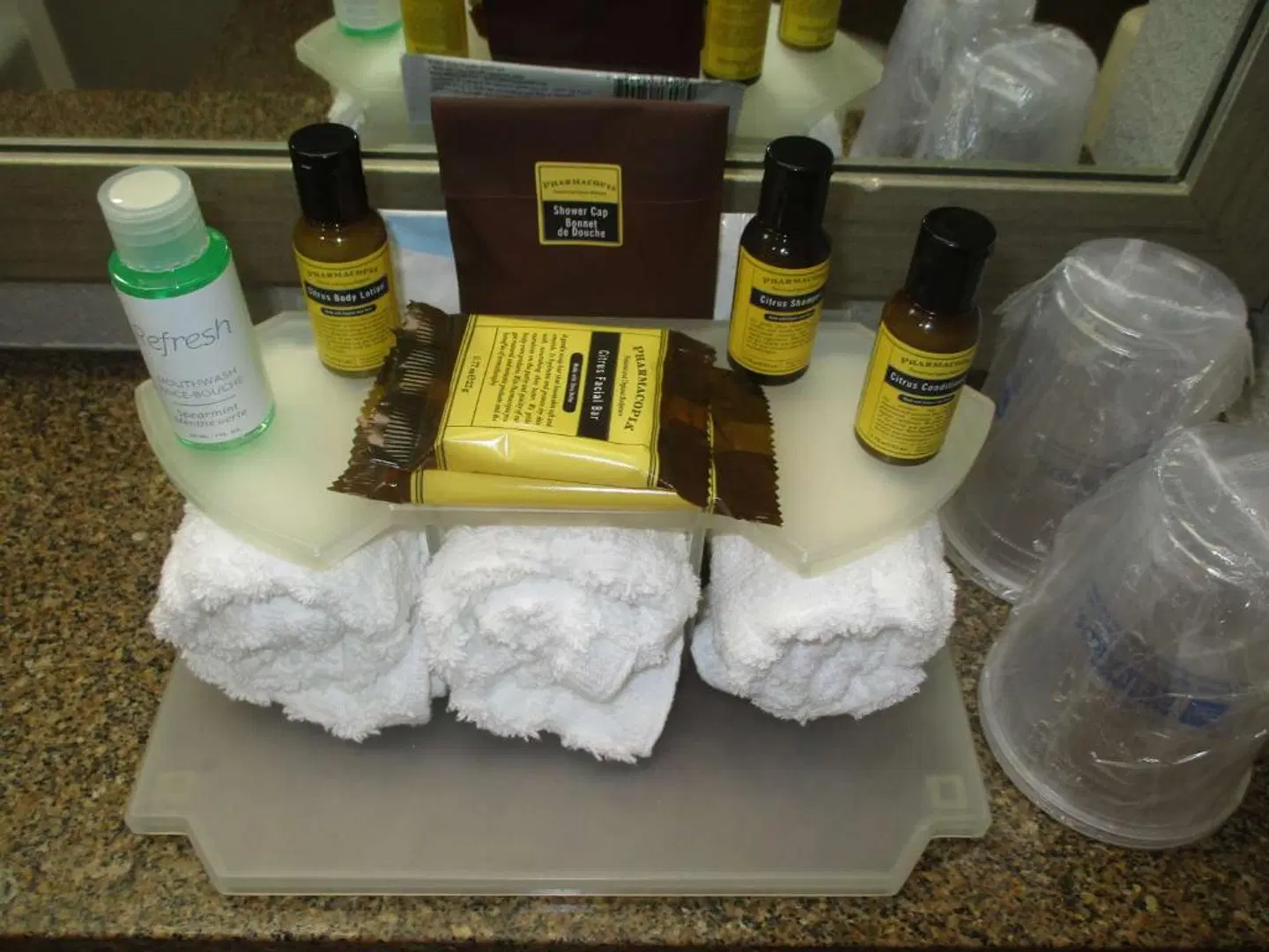 Best Western Plus Indianapolis NW Hotel LOUNGE_LOBBY