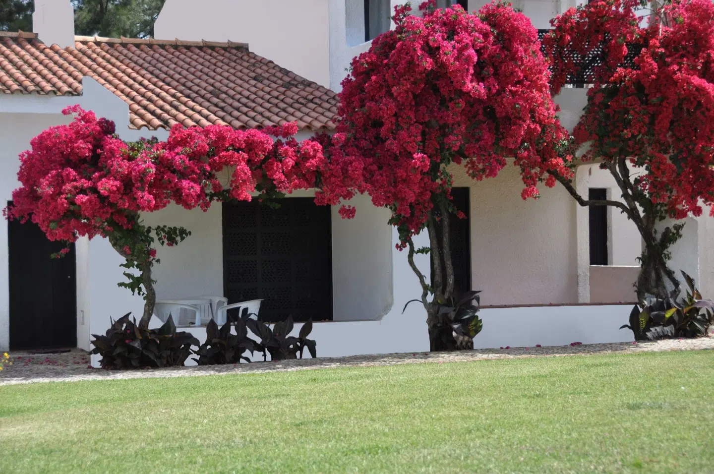 Pedras da Rainha EXTERIOR