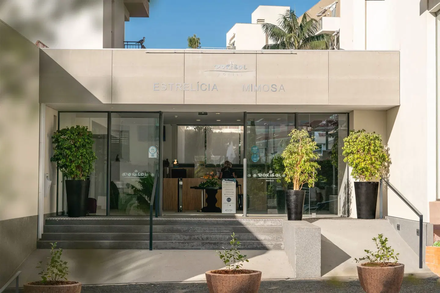 Dorisol Estrelicia Terrasse