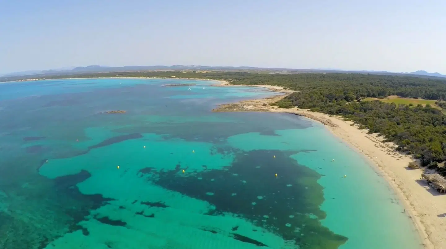 Universal Marques LANDSCAPE