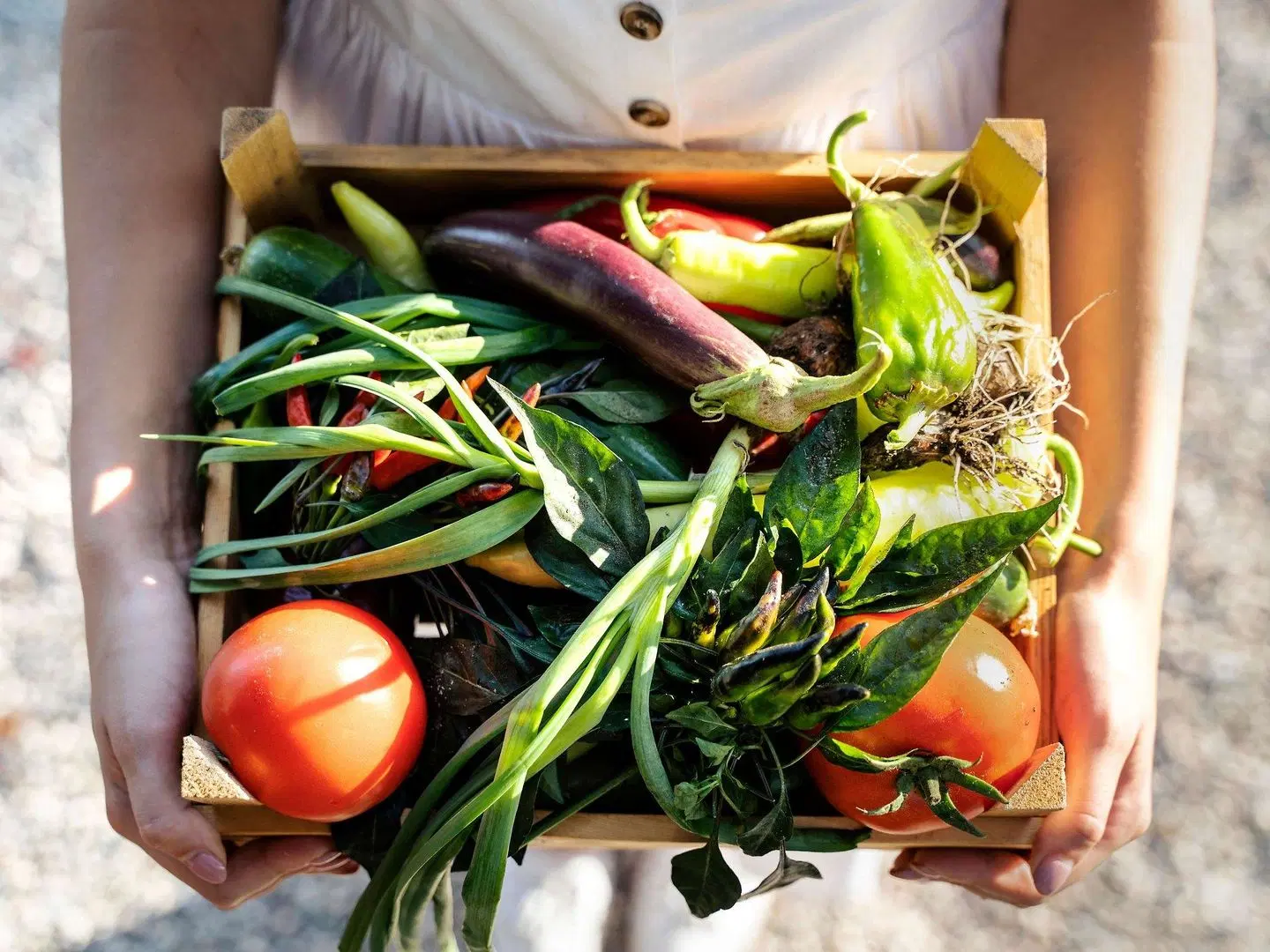 Art Series - [The Watson] HEALTH_BEAUTY