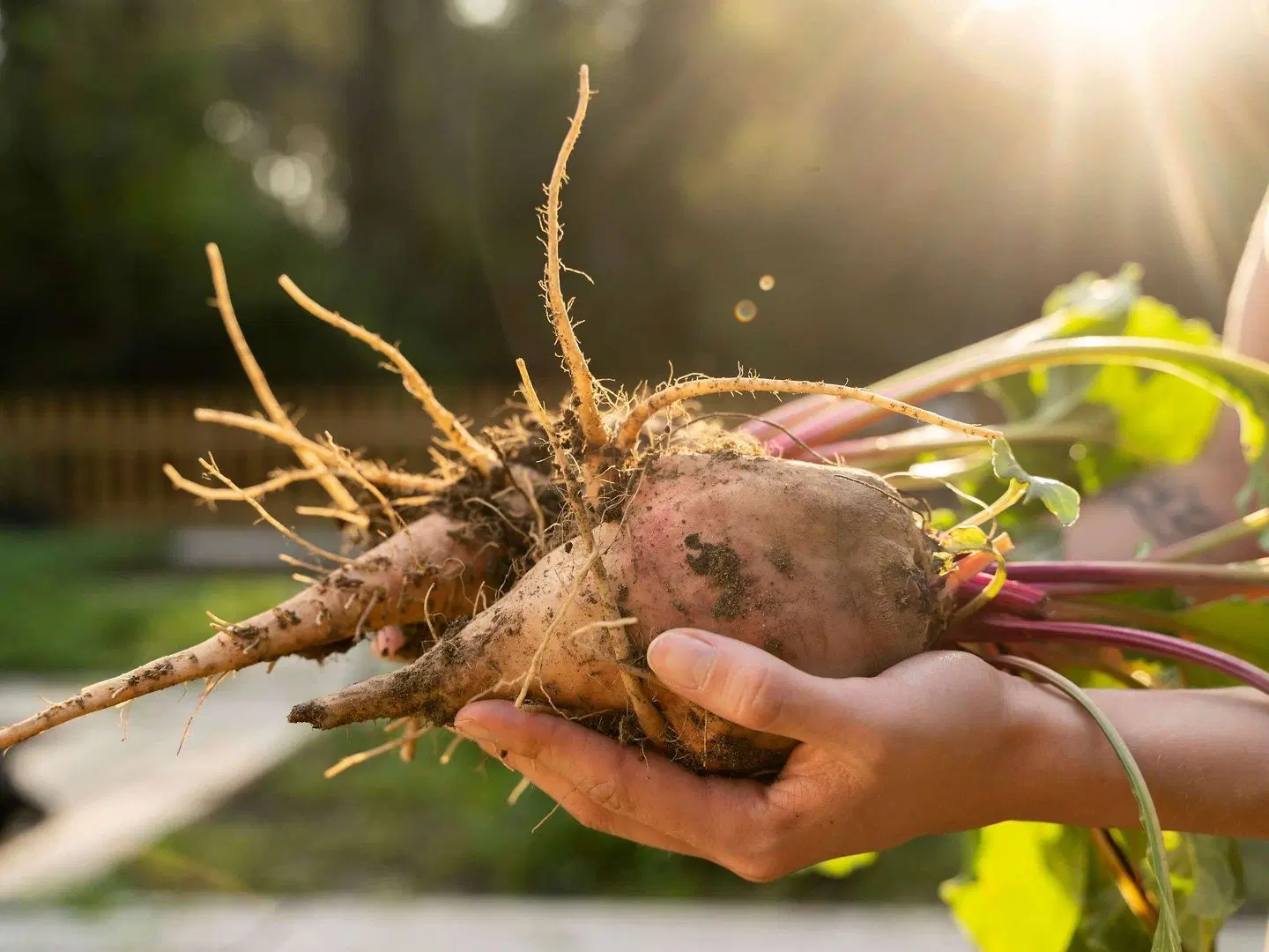 Art Series - [The Watson] HEALTH_BEAUTY