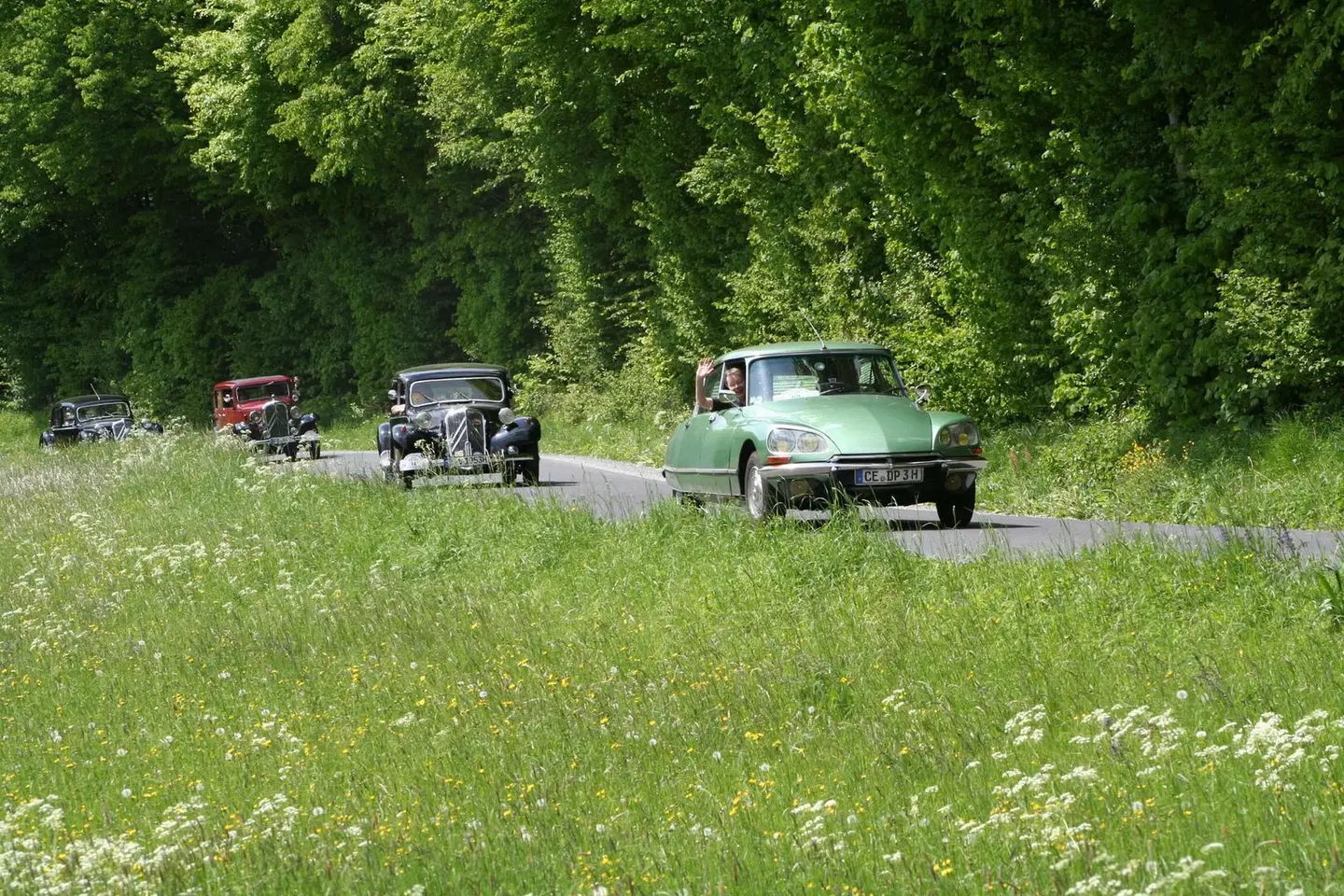 Best Western Hotel Polisina Garten