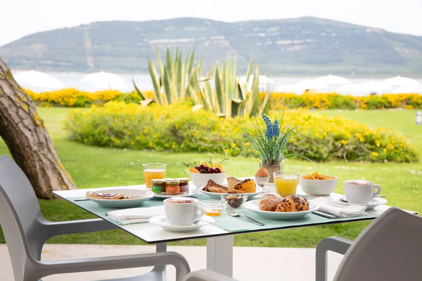 Corte Rosada TERRACE