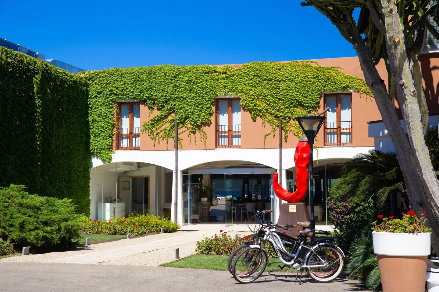 Corte Rosada EXTERIOR