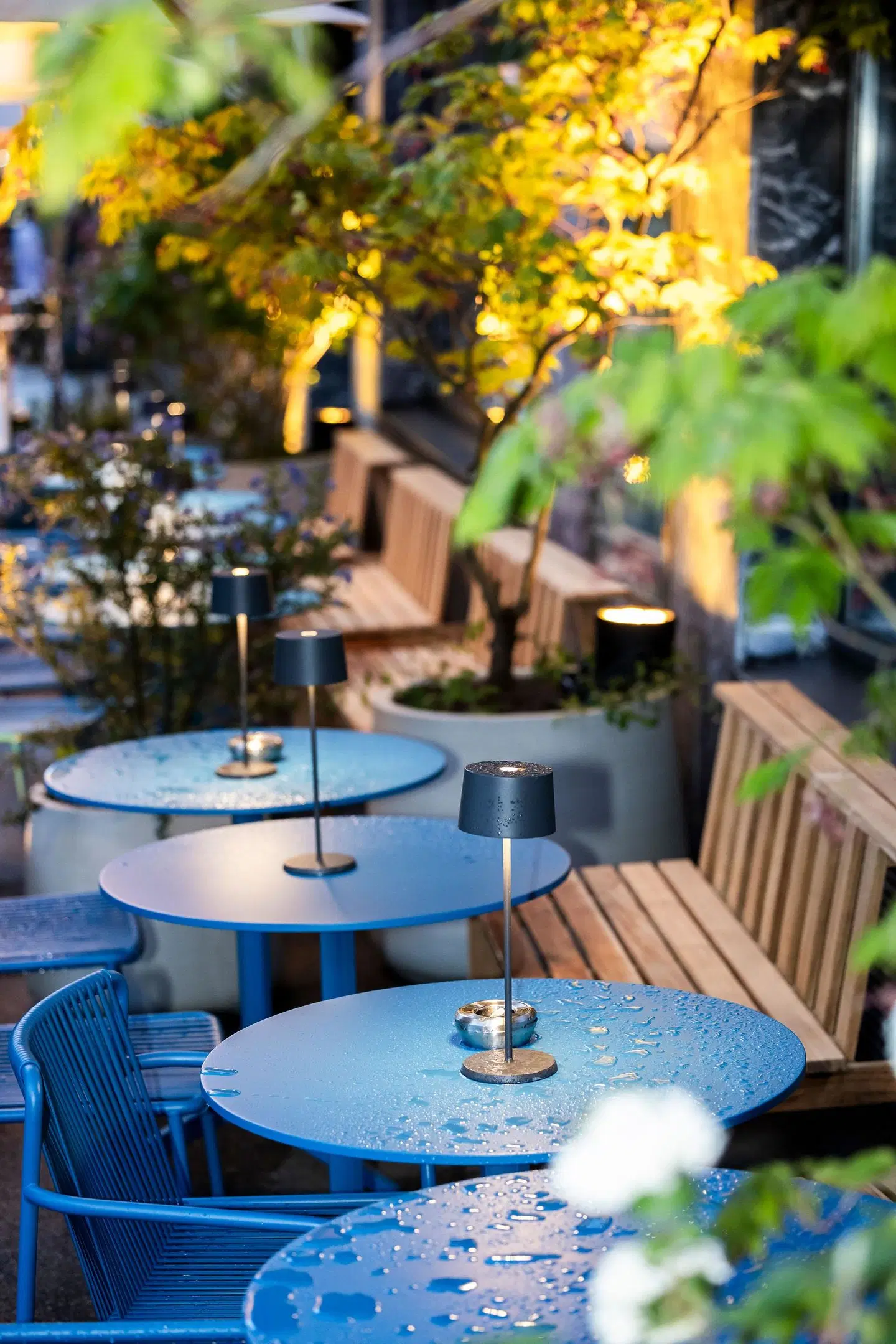 Sorell Boutique-Hotel Seefeld Zürich TERRACE