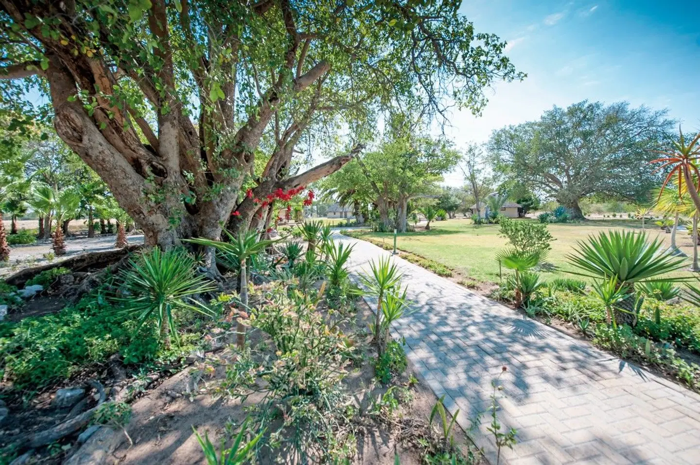 La Rochelle Lodge Garten