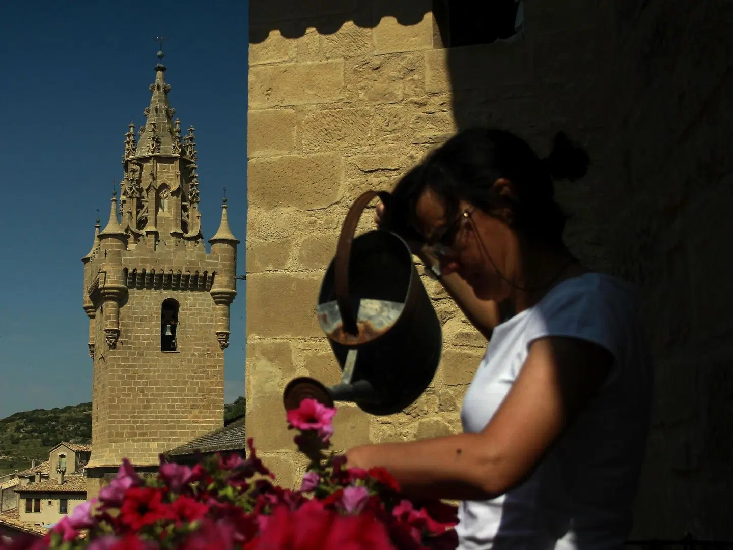 La Posada Uncastillo ANIMAL
